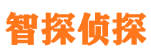 滨海市私家侦探